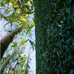 artificial-boxwood-hedge10