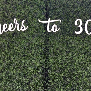 artificial-boxwood-hedge8