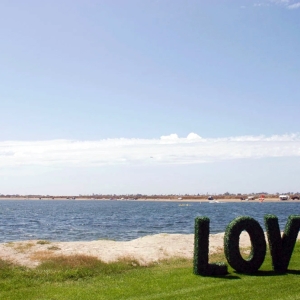 boxwood-hedge-letters4