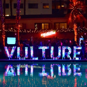 vulture night shot